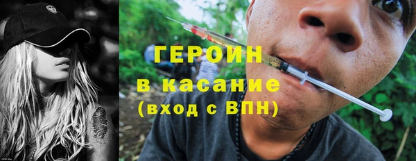 индика Алексин