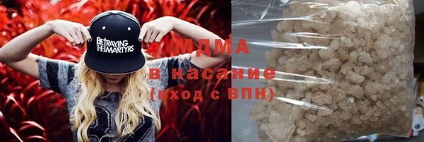 индика Алексин