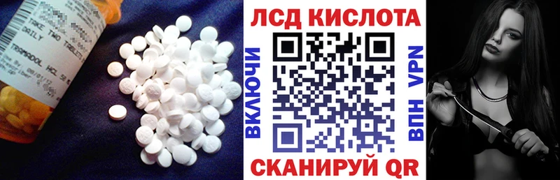 мега ONION  что такое   Пудож  LSD-25 экстази кислота 